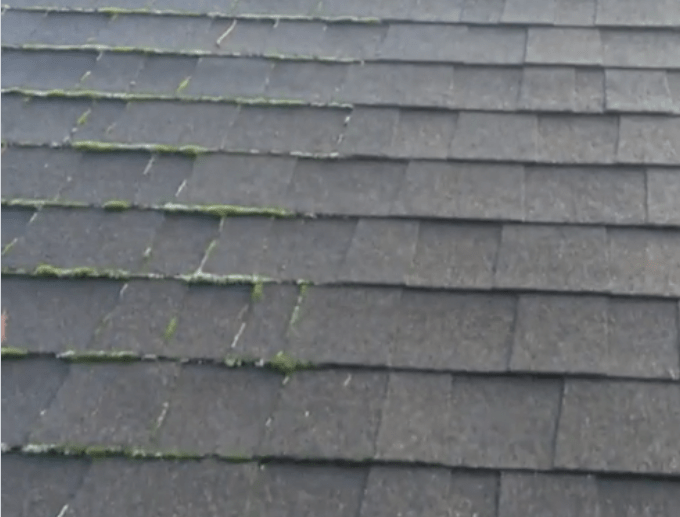 treated vs untreated moss on roof