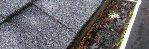oregon gutter debris