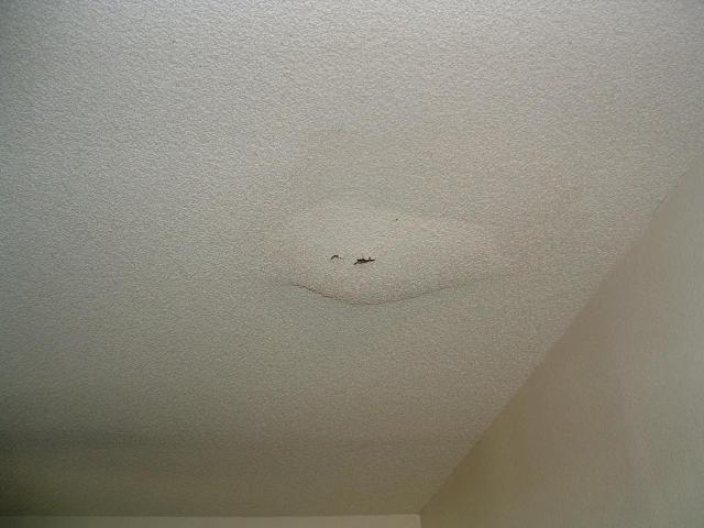 How To Fix A Leak In Ceiling