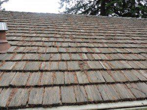20 Year Old Shake Roof