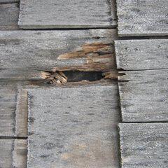 rotting cedar shake