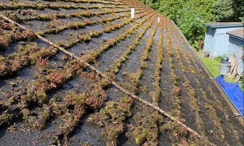 Roof moss removal in Portland, OR
