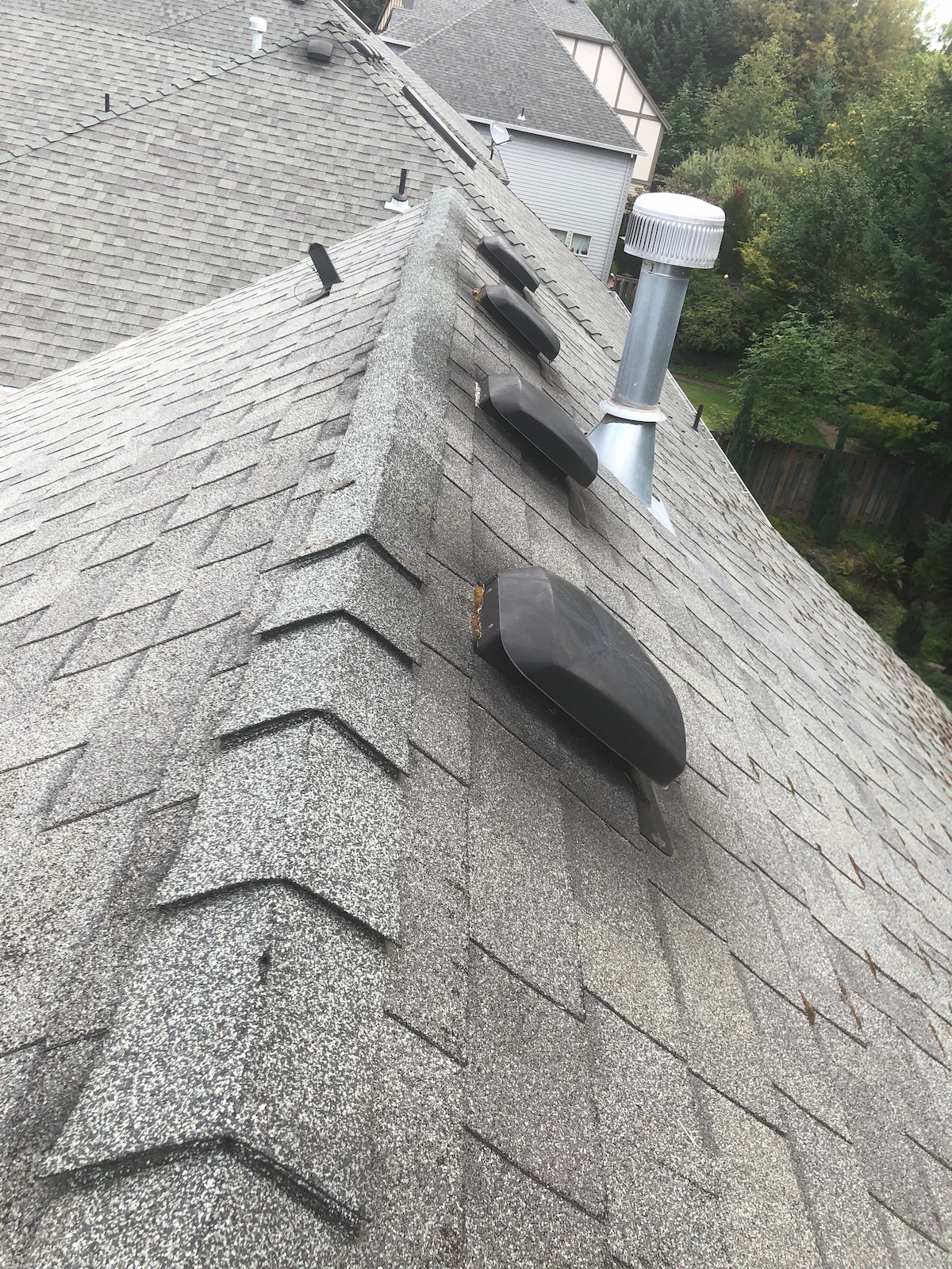 Attic vents on a roof