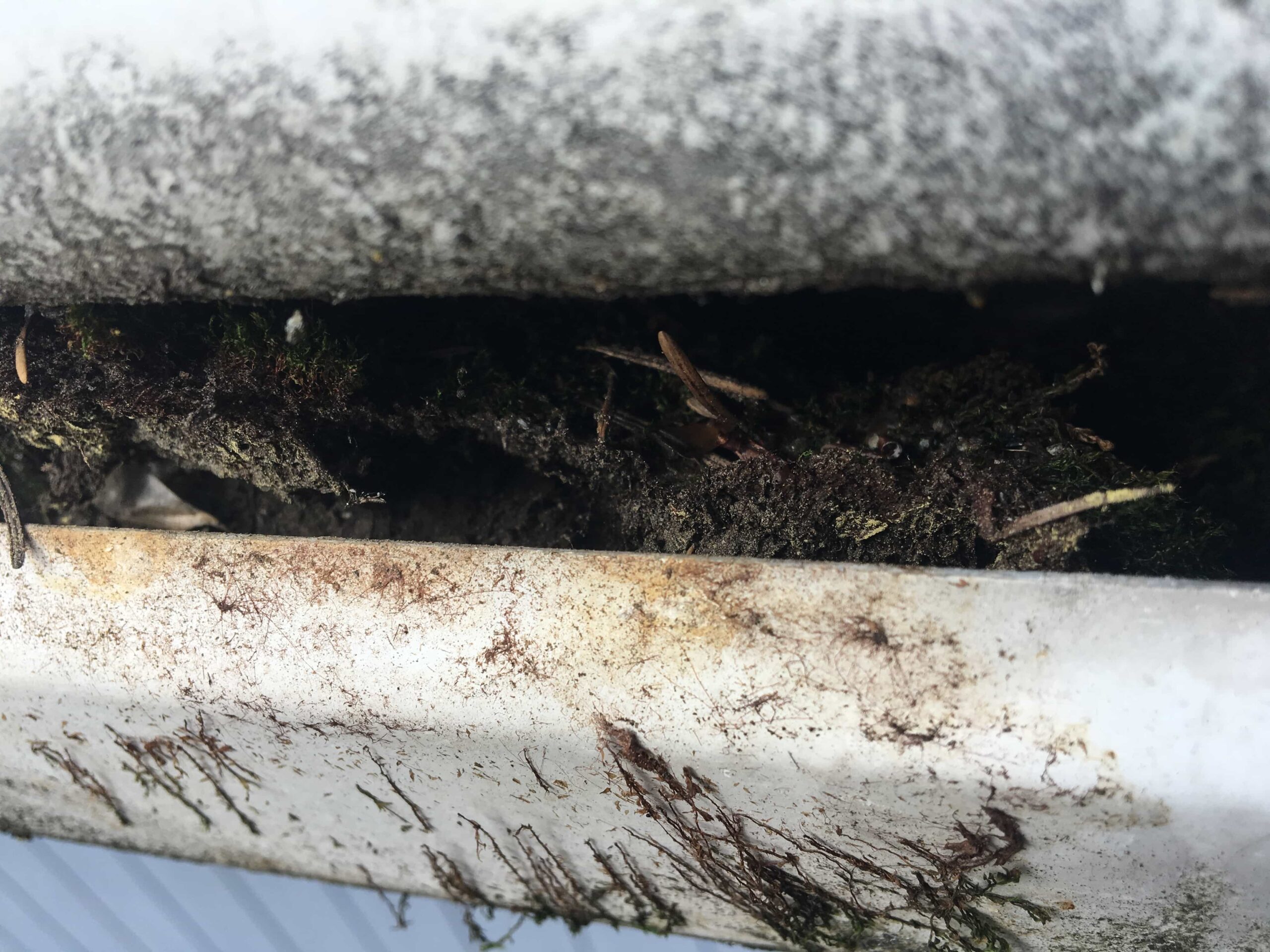 7 Signs Your Roof Drainage System Isn’t Working Properly