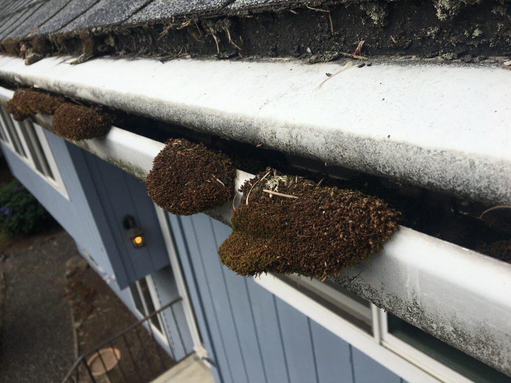 Roof Life Tualatin Roofing Company Gutter Cleaning